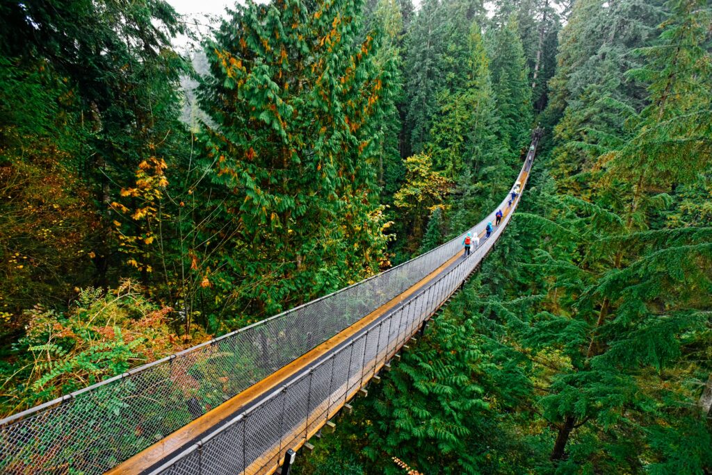 Visitors crossing the iconic Capilano Suspension Bridge surrounded by the lush coastal rainforest in North Vancouver.