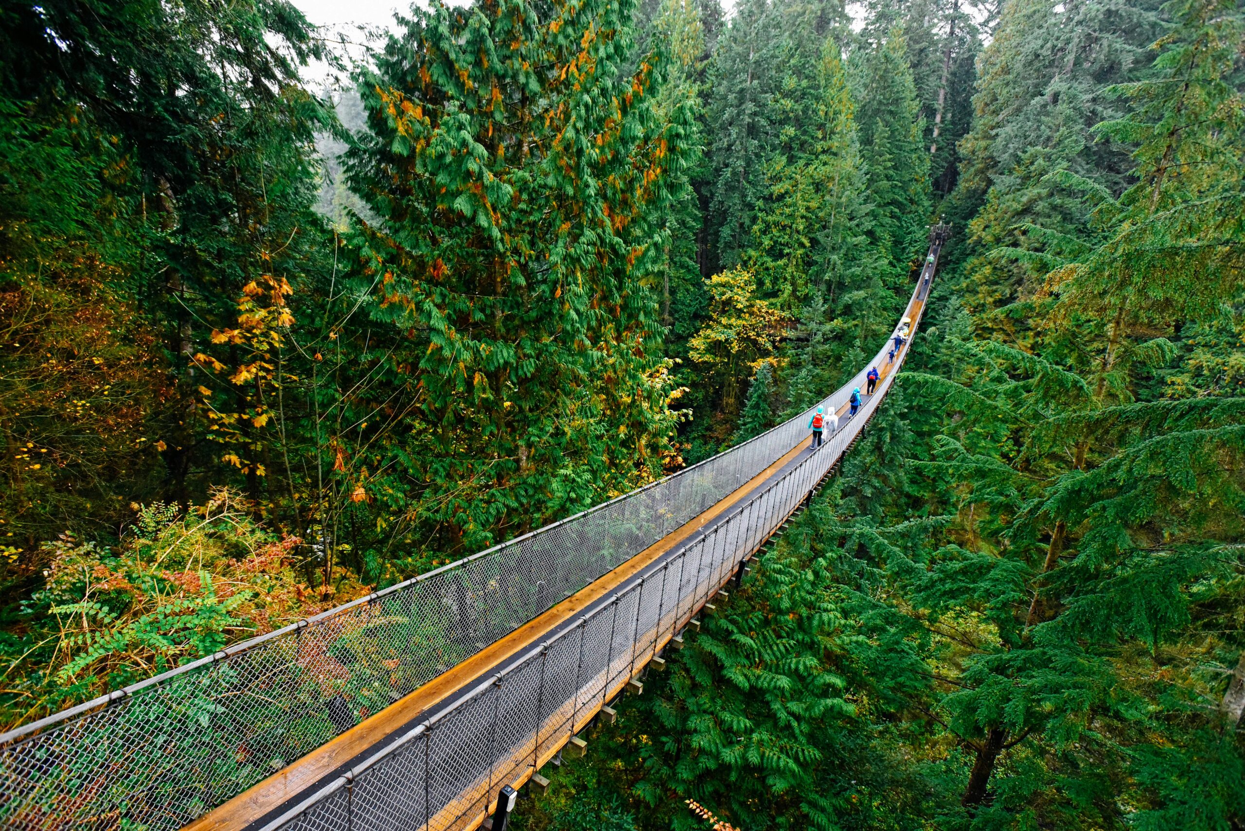 Visitors crossing the iconic Capilano Suspension Bridge surrounded by the lush coastal rainforest in North Vancouver.
