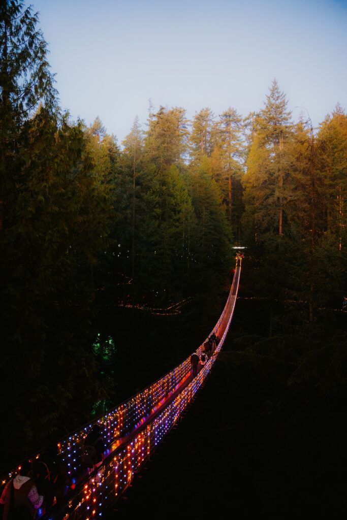 Capilano Suspension Bridge illuminated during the Canyon Lights winter festival in North Vancouver