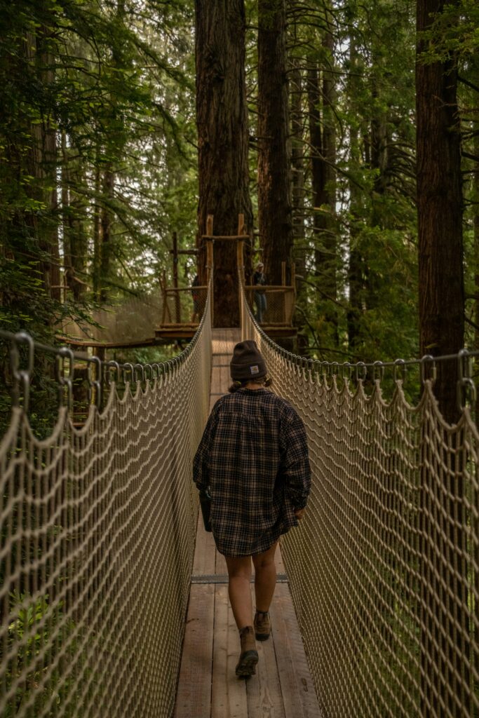 Visitor walking through Treetops Adventure early in the morning at Capilano Suspension Bridge