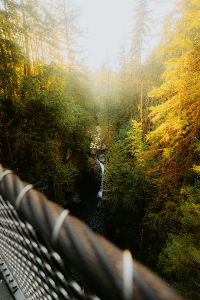 Autumn colours at Capilano Suspension Bridge in North Vancouver
