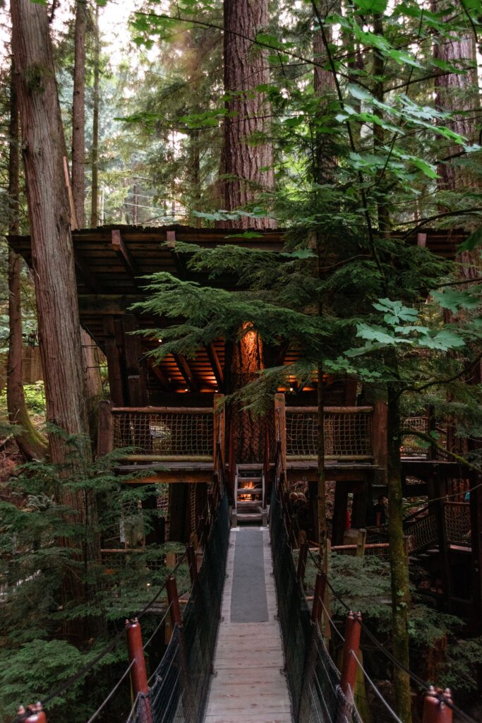 Elevated Treetops Adventure platform surrounded by towering Douglas fir trees at Capilano Suspension Bridge Park in North Vancouver.