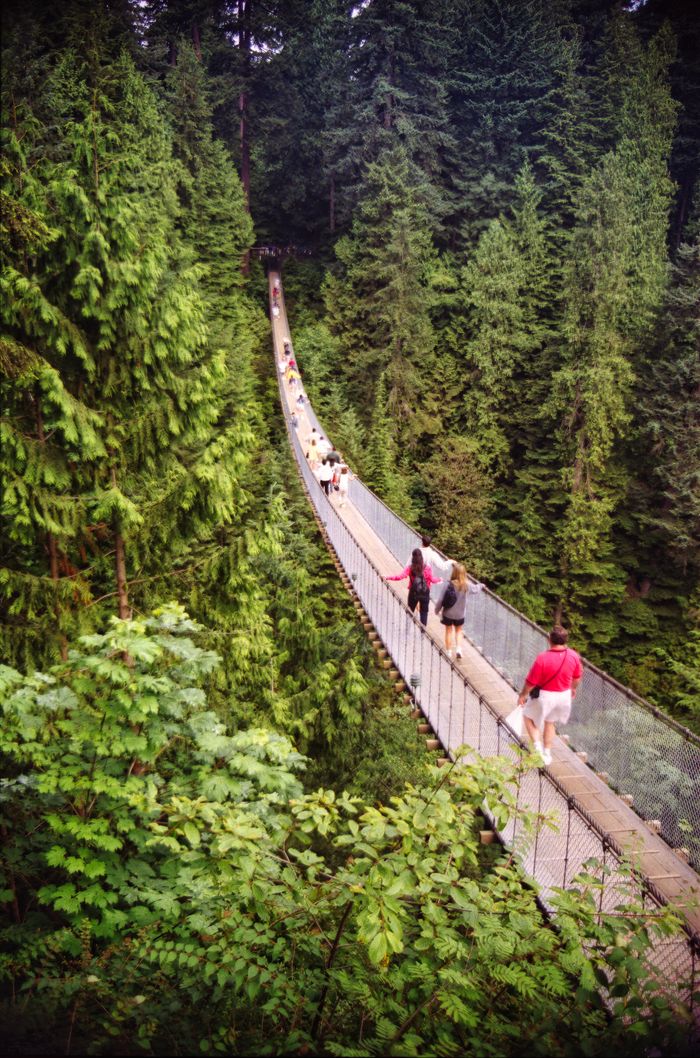 Visitors crossing Capilano Suspension Bridge in autumn, Vancouver