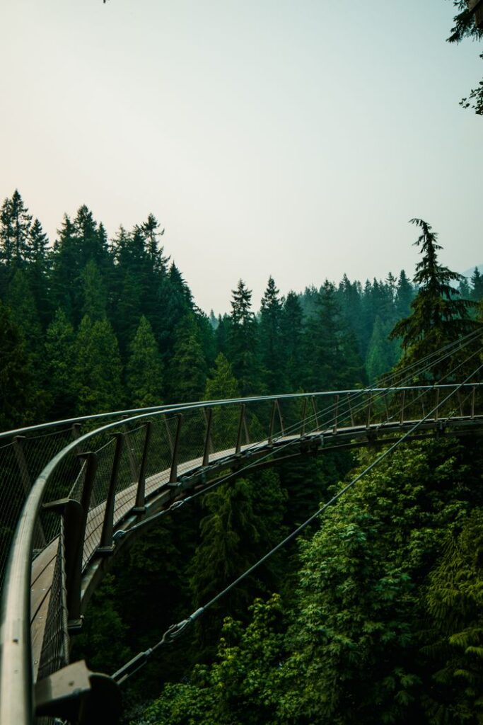 Capilano Cliffwalk overlooking the rainforest at Capilano Suspension Bridge Park in Vancouver, Canada.