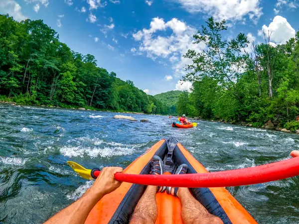 Kayakers navigating river rapids through a green forest
