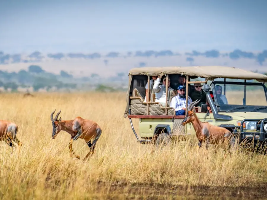 Elephants roaming across an African savanna landscape