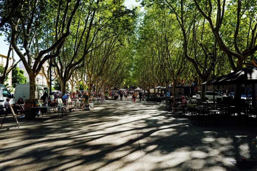 Tree-lined pedestrian avenue in Aix-en-Provence with outdoor cafés, market stalls and people walking