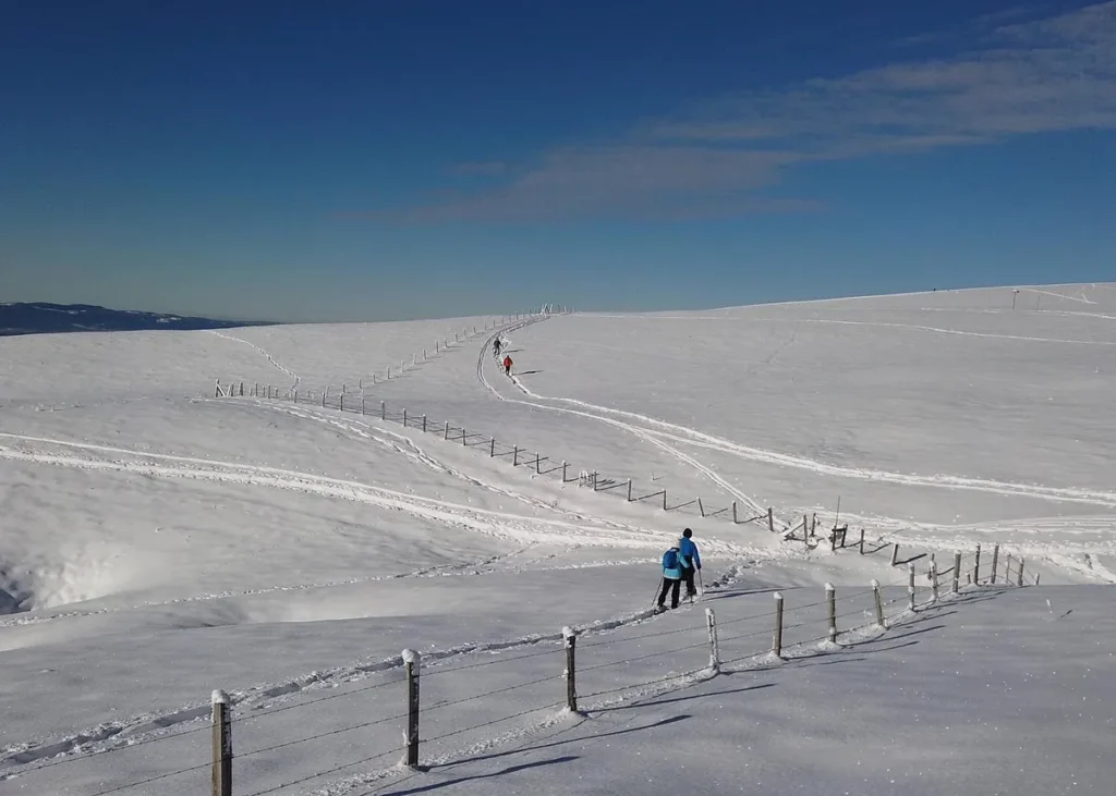 Snowshoers crossing a wide snow-covered Alpine plateau along a marked winter trail