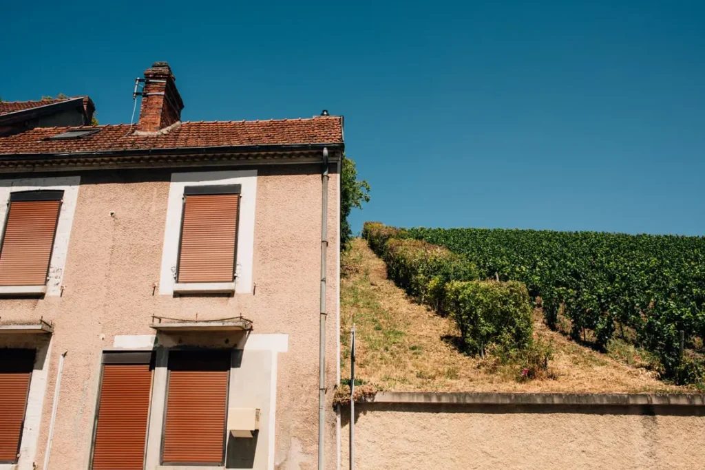 Traditional French countryside house beside a vineyard-covered hillside in Beaujolais