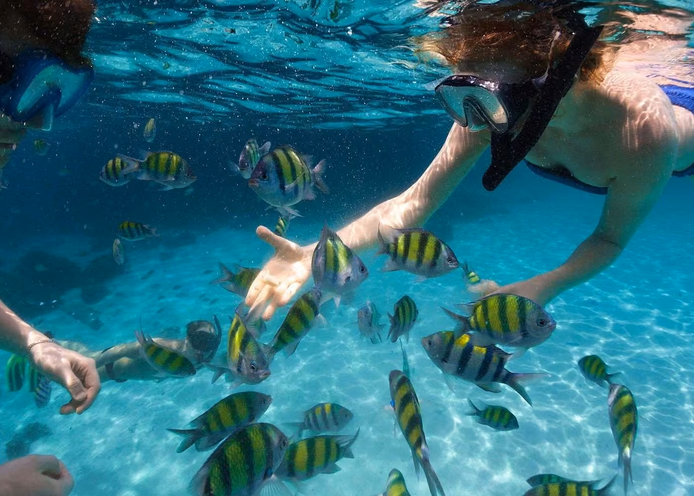 Snorkeler swimming among colorful tropical fish in clear turquoise water during a Florida Keys snorkeling experience