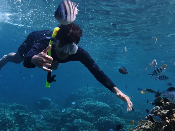 Snorkeler exploring tropical coral reefs in Bali