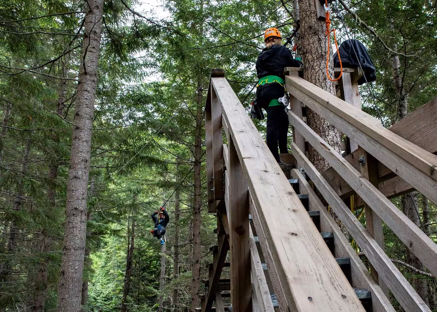 Visitors preparing for a zipline adventure on a wooden platform in Whistler's forest